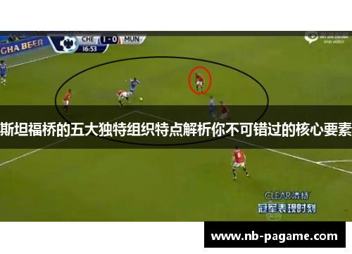 斯坦福桥的五大独特组织特点解析你不可错过的核心要素 斯坦福桥的五大独特组织特点解析你不可错过的核心要素