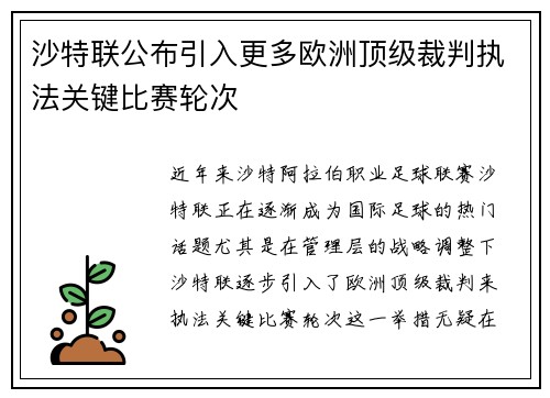 沙特联公布引入更多欧洲顶级裁判执法关键比赛轮次