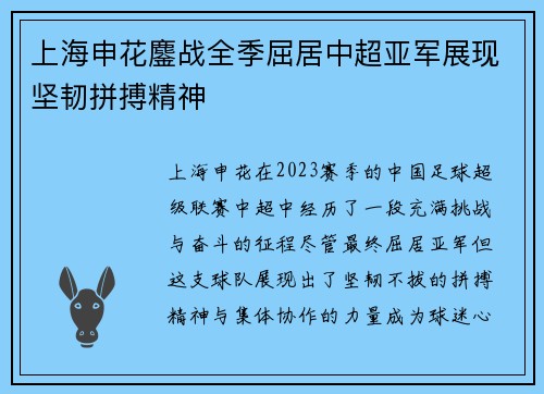 上海申花鏖战全季屈居中超亚军展现坚韧拼搏精神